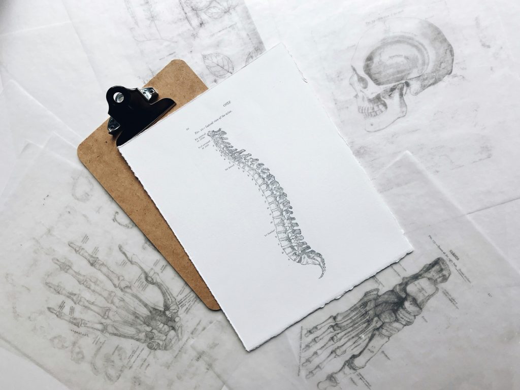 ciri-ciri osteoporosis
