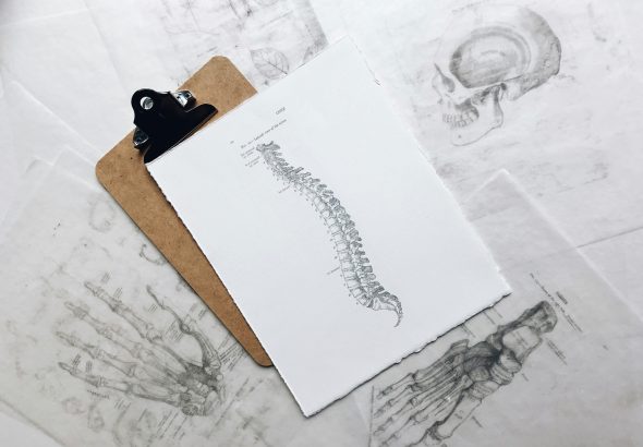 ciri-ciri osteoporosis